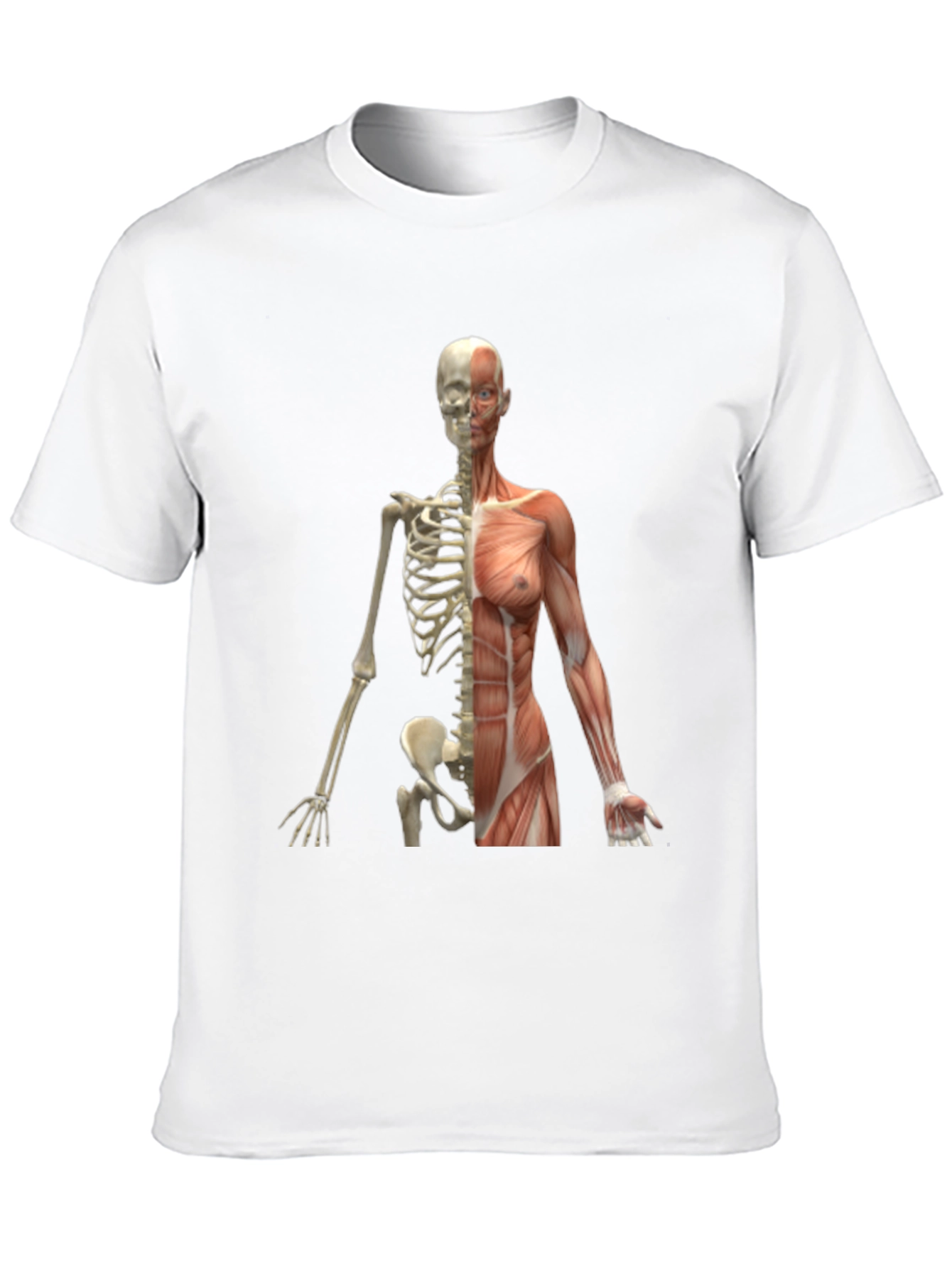 Anatomy Skeleton and Muscle Print Black T-Shirt