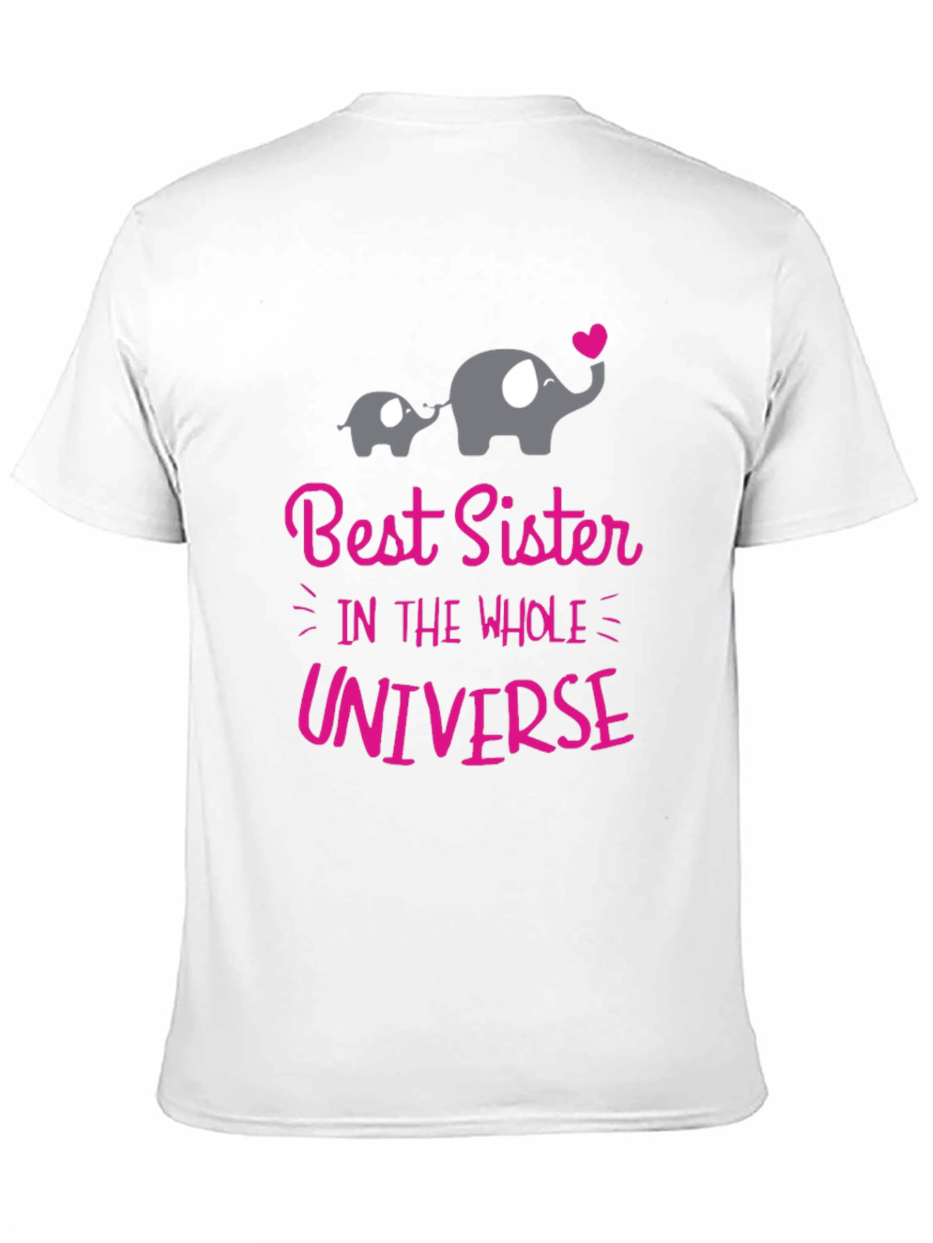 Best Sister in the Universe T-Shirt