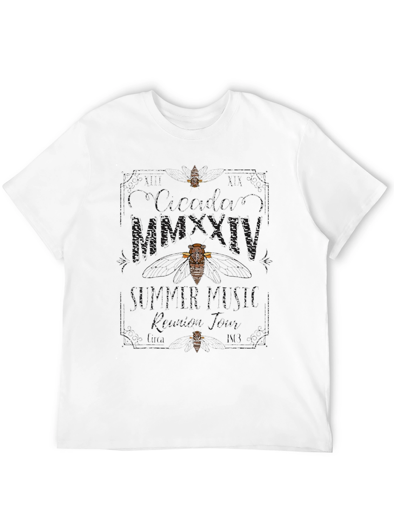 Cicada MMXXIV Summer Music Tour Graphic Tee