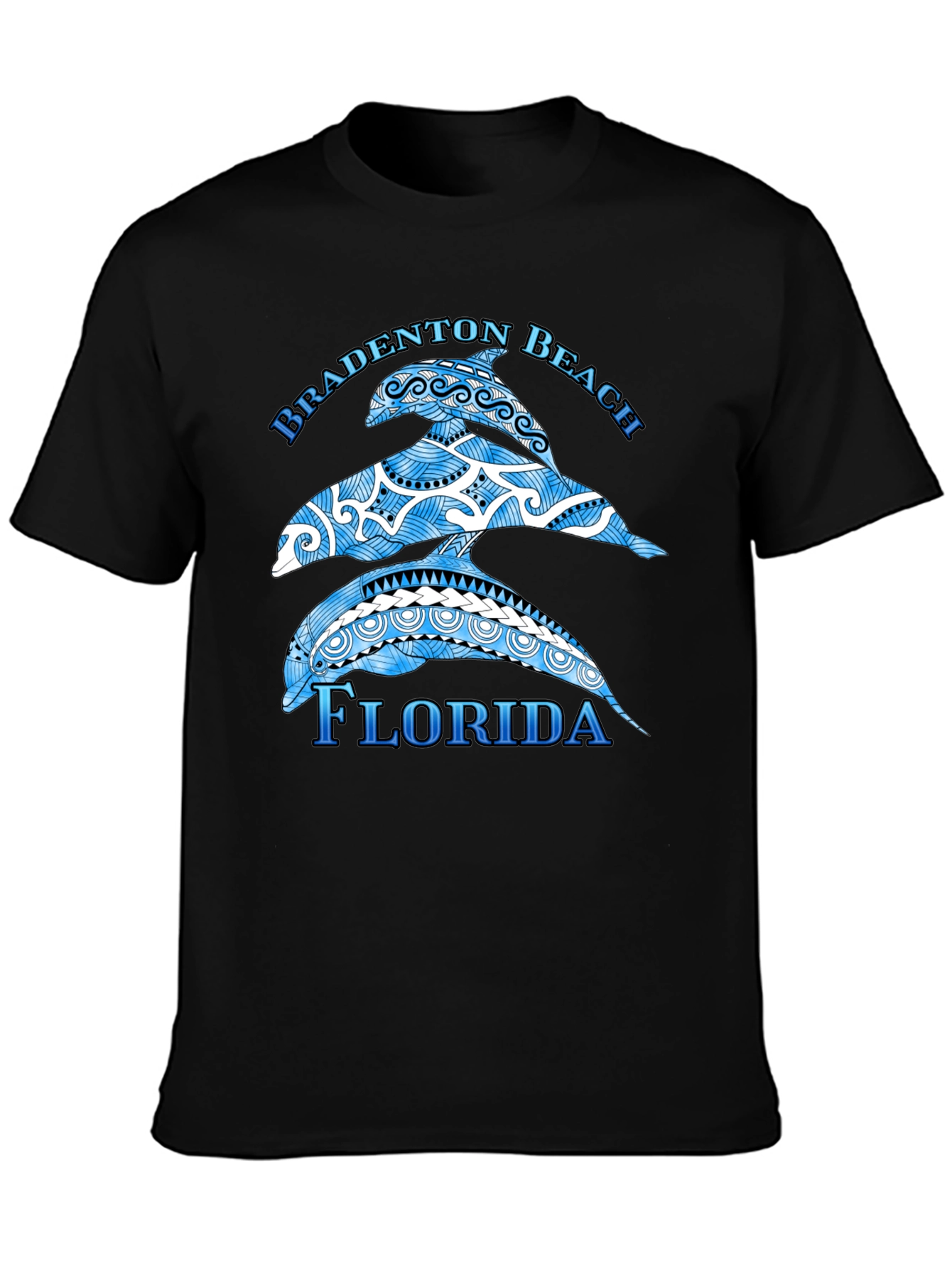 Bradenton Beach Florida Dolphin Graphic T-Shirt