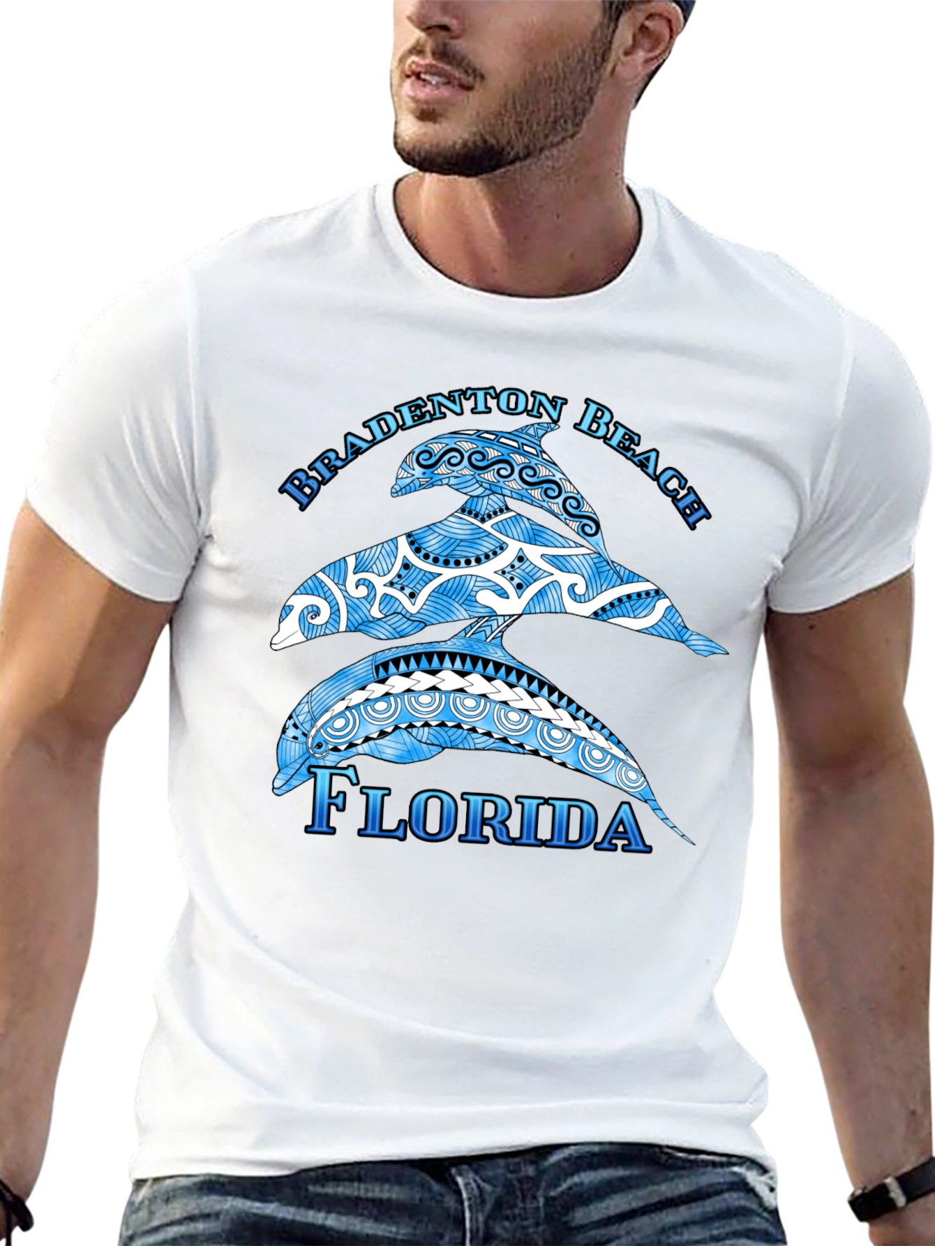 Bradenton Beach Florida Dolphin Graphic T-Shirt